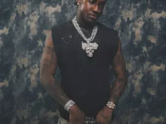 Shallipopi – Ant Mp3 Download