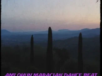 Dj Damlex soundit – Ami Ohun Maracian Beat Mp3 Download