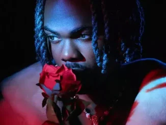 Ckay – December Mood Mp3 Download